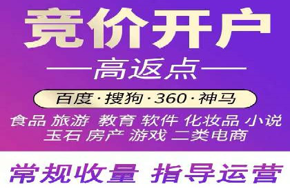 某SEM公司广告投放案例：创新广告形式的探索与实践